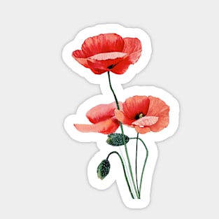 Red poppies Sticker